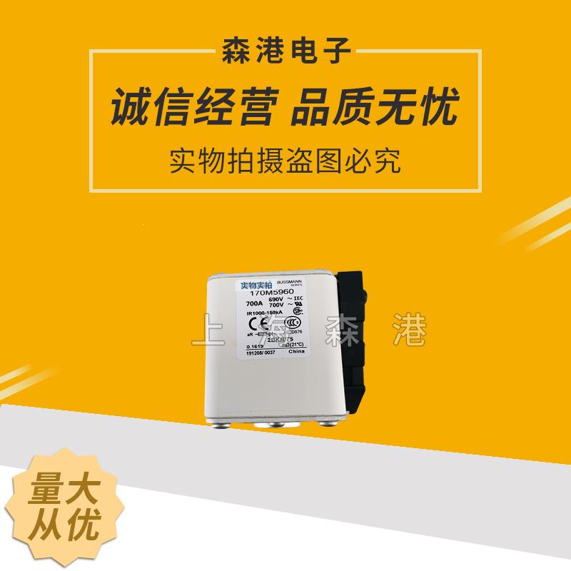 170M5960